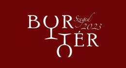 11. őszi bormustra