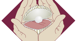 Bonitas jótékonysági séta