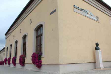 Dom kulture "Aranyszöm"