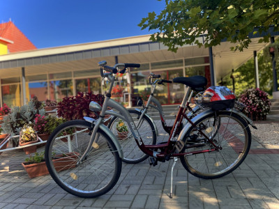 Electric bicycle rental