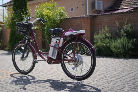 Electric bicycle rental