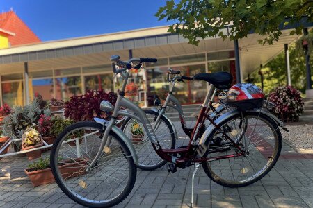 Electric bicycle rental