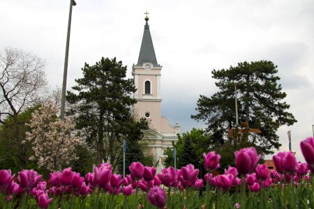 Klasszikus gitár hangverseny