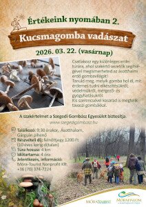 Március 22-én (vasárnap) ismét kucsmagomba vadászat!