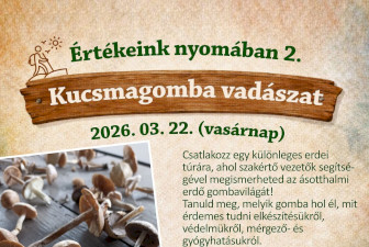 Március 22-én (vasárnap) ismét kucsmagomba vadászat!