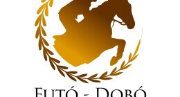 Megyei Díjugrató Verseny