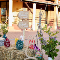 Mórahalom ünnepi díszben (2025)!