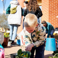 Mórahalom ünnepi díszben (2025)!