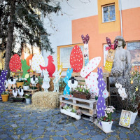 Mórahalom ünnepi díszben (2025)!