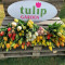 TulipGarden - Berba lala