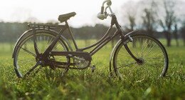 Zákányszék- Mórahalom- Hajdújárás (Ludasi-tó) kerékpártúra